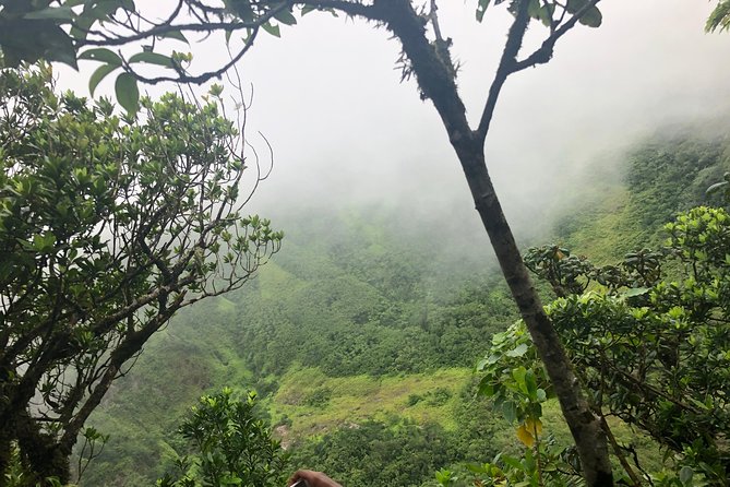 Mount Liamuiga Volcano Tours - Is $80 a good value?