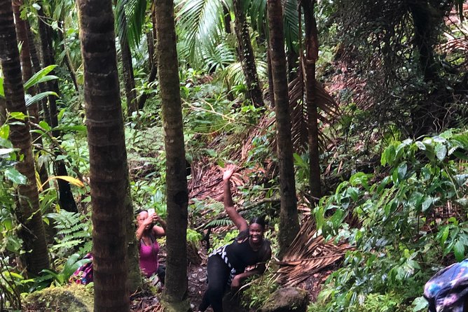 Mount Liamuiga Volcano Tours - What the five-hour climb feels like