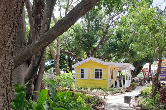 Nevis Hot Springs & Bath Village Heritage Experience - What the $85 price really buys you