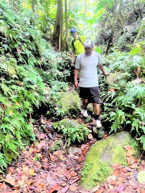 Nevis Waterfalls/Russel's Rest Hike - What the guide adds to the walk