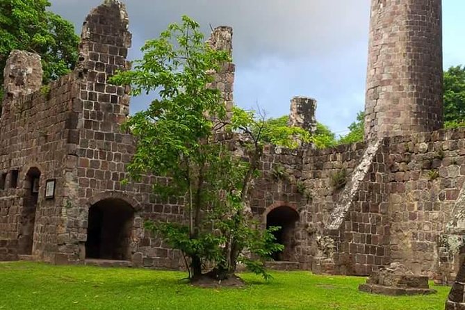 Panoramic Sightseeing Tour of St Kitts - The winding road to the hills