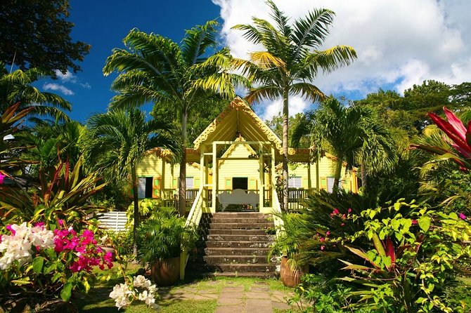 Panoramic Sightseeing Tour of St Kitts - What to bring and how to plan the morning