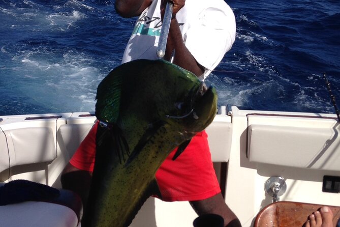 Private Fishing & Snorkel Charters in St Kitts and Nevis - Why this Nevis charter is different