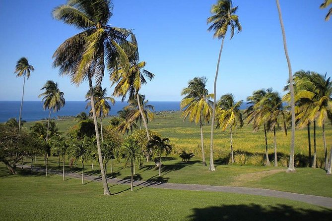 Private Tour in St. Kitts - What this St. Kitts tour is designed to do