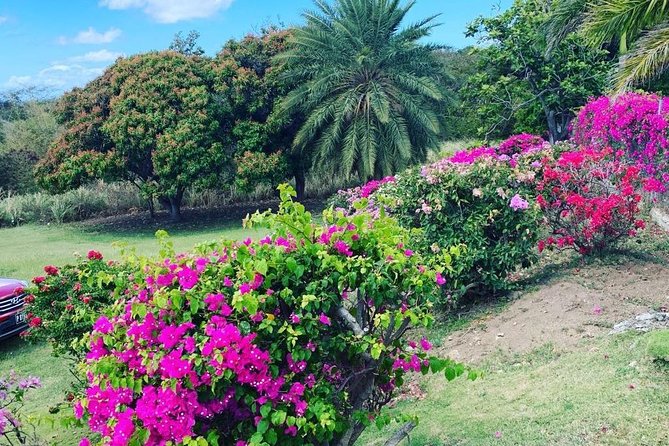 Private Tour in St. Kitts - Why the private format matters
