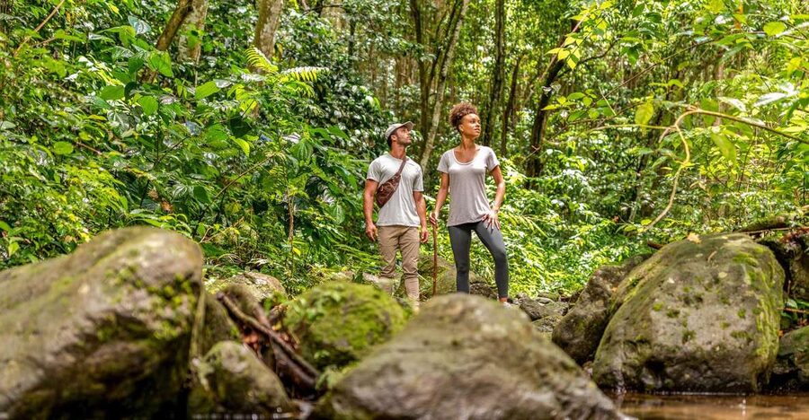 Rainforest Adventure - Key points at a glance