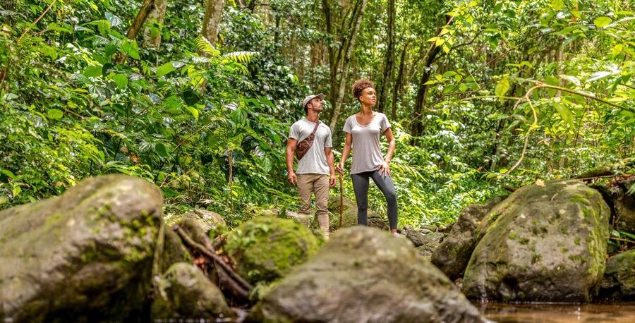 Rainforest Adventure - From Port Zante to Old Road Town