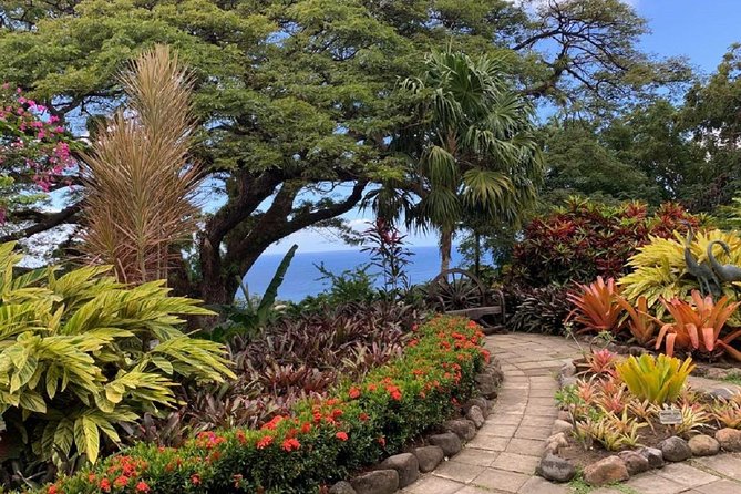 Rosevelt's Special Best of St. Kitts/Panoramic Tour - What the $67 price really covers