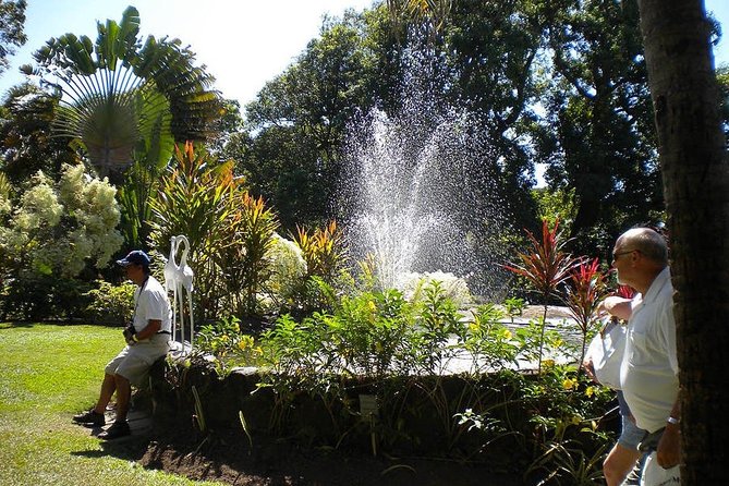 Rosevelt's Special Best of St. Kitts/Panoramic Tour - Port pickup, resort pickup, and timing