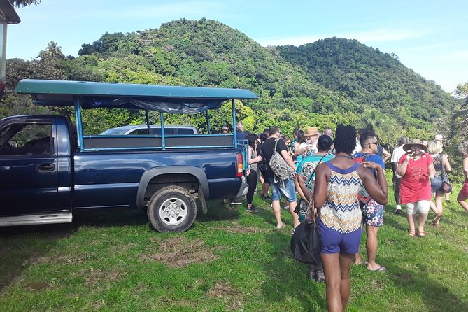 Safari Extravaganza - A half-day view of St Kitts from the road