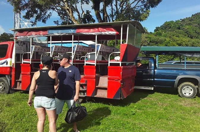 Safari Extravaganza - Timing, pickup, and cruise-day planning