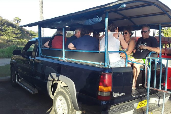 Safari Extravaganza - The 1,000-foot stop at Bayfords Mountain