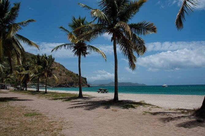 Scenic City Tour and Beach Escape - Basseterre Landmarks Seen from the Road