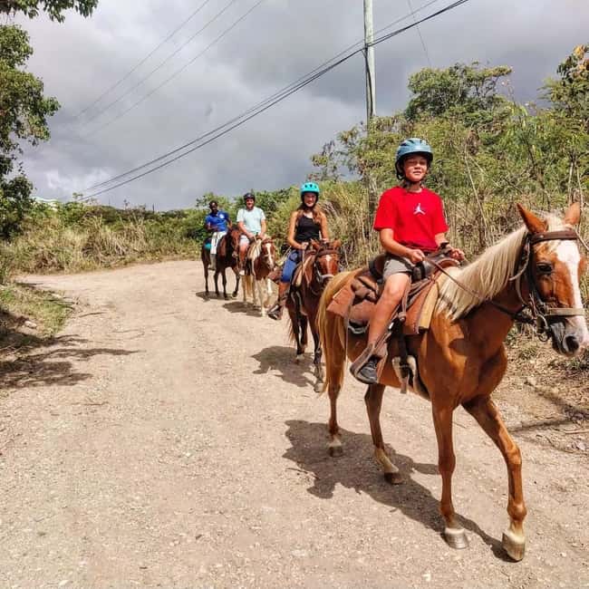 Scenic Horseback Trail - Key points to know before you book
