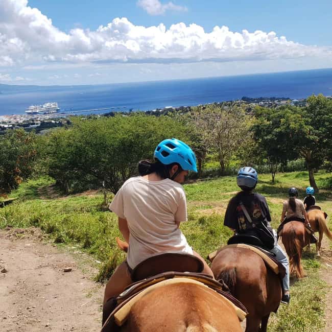 Scenic Horseback Trail - What the $110 price buys you