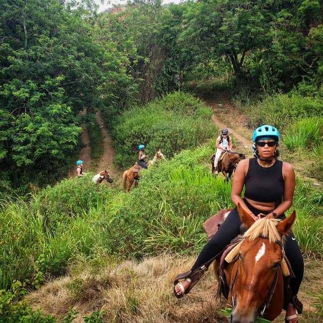 Scenic Horseback Trail - Riding through Nevis plant life