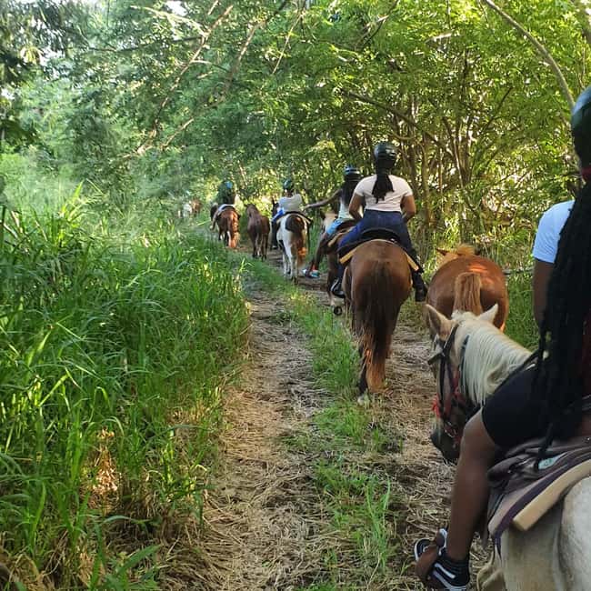 Scenic Horseback Trail - Passing Romney Manor and the island’s past