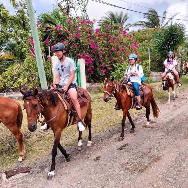Scenic Horseback Trail - Horse behavior and the family question