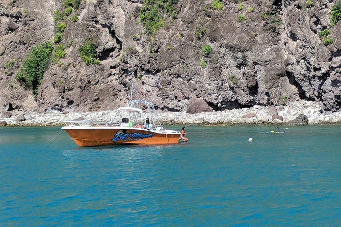 Scenic Speed-Boat Snorkel Tour - Weather, sightings, and realistic expectations