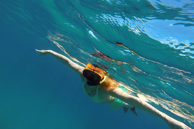 Scenic Speed-Boat Snorkel Tour - The coast is part of the experience