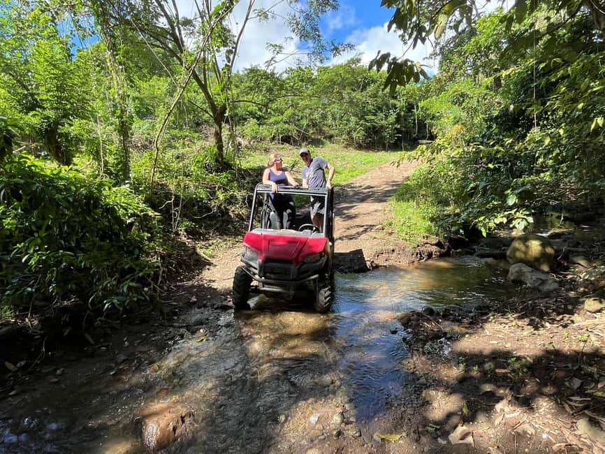 St. Kitts:Countryside Dune Buggy Tour - What the $100 price includes