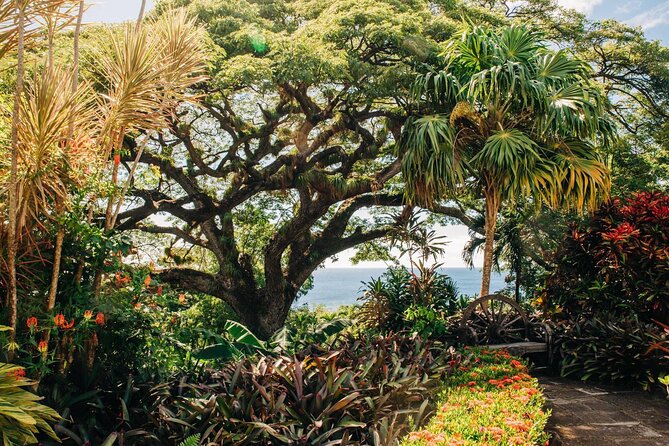 St. Kitts Full Island Excursion - A private way to see St. Kitts in one day