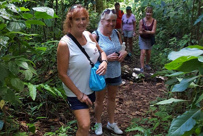 St Kitts Half-Day Rainforest Tour - Key points to know before booking