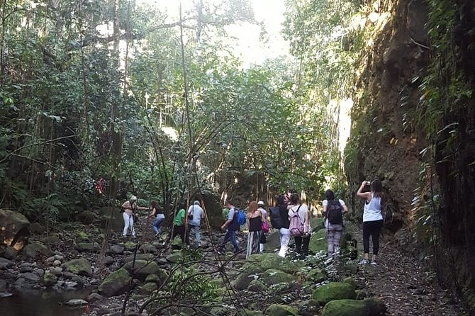St Kitts Half-Day Rainforest Tour - Who will get the most from this St Kitts excursion?