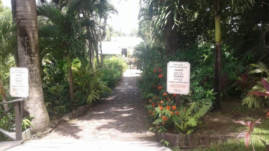 St. Kitts Island Half-Day Bus Tour - What the English-speaking guide adds