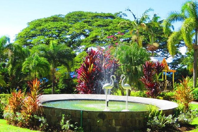 St Kitts Island Tour (Reconfirm Ship or Hotel) - Basseterre, Independence Square, and the old slave market
