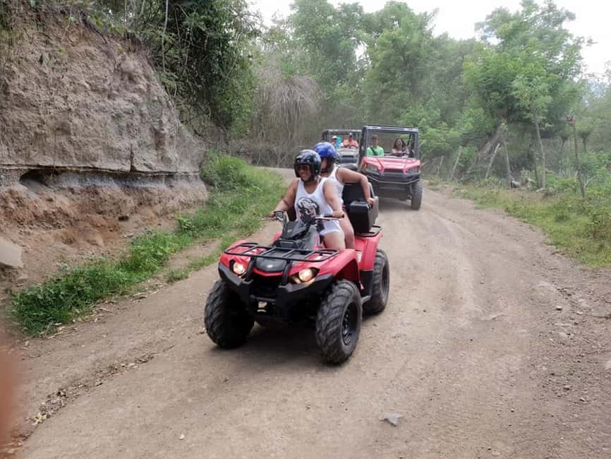 St. Kitts: Jungle Bikes ATV and Beach Guided Tour - Tropical woodland, animals, trees, and flowers