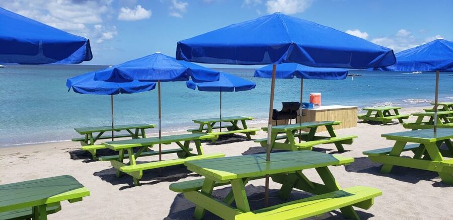 St. Kitts: Nevis Getaway with Free Time at Pinney’s Beach - Who will enjoy this Nevis outing most