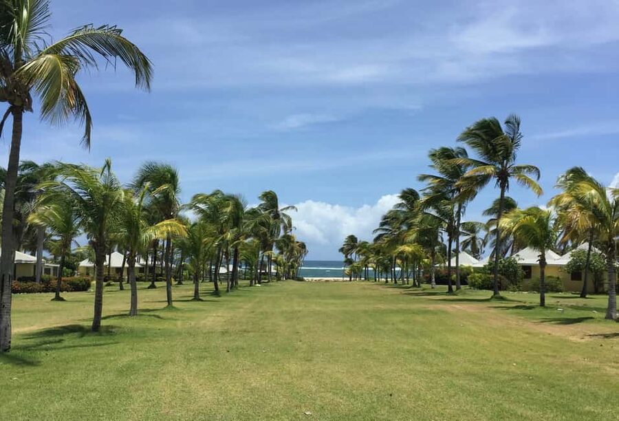 St. Kitts: Nevis Island Tour and Beach Time with Lunch - Key points to know before you book