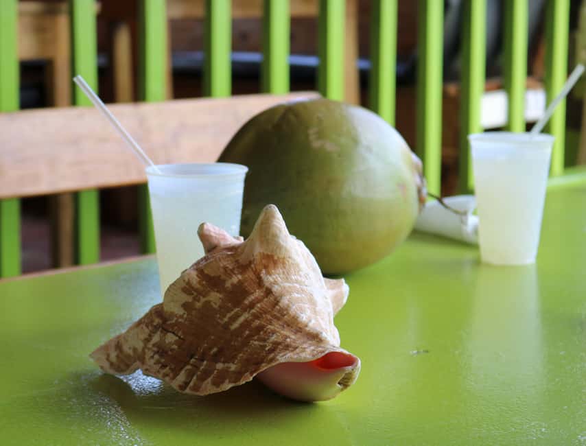 St. Kitts: Nevis Island Tour and Beach Time with Lunch - Finding Blue Water Safaris at Port Zante