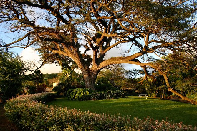 St. Kitts Rainforest Tour - The river stop is a simple but welcome finish