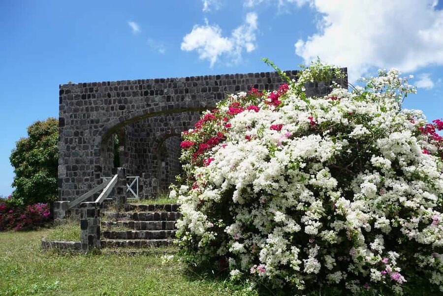 St. Kitts: Top Sights Guided Van or Open-Air Safari Tour - Romney Manor’s gardens and old stone setting