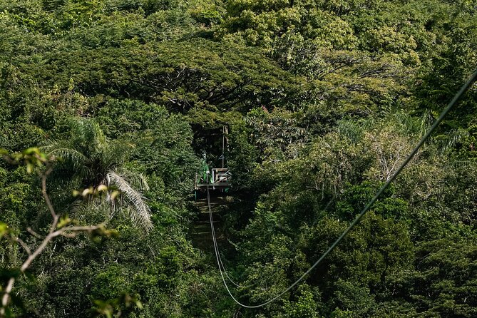 St. Kitts Zipline Experience - Flying above St. Kitts instead of simply seeing it