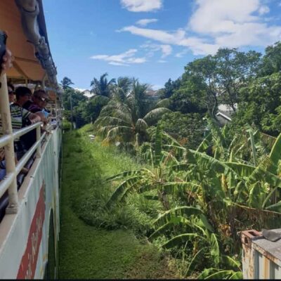 Sugar Train Tour & Drinks|Pick-Up &Drop Off From Cruise Port