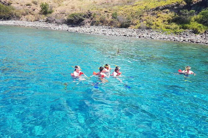 SUP Paddle Board Adventure - Snorkeling with turtles and tropical fish