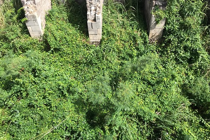 The Brimstone Hill Fortress Hike - The short, steep route to the fortress