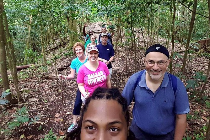 Tropical Rain Forest Explorer Hike In St. Kitts - A rainforest walk with more than scenery