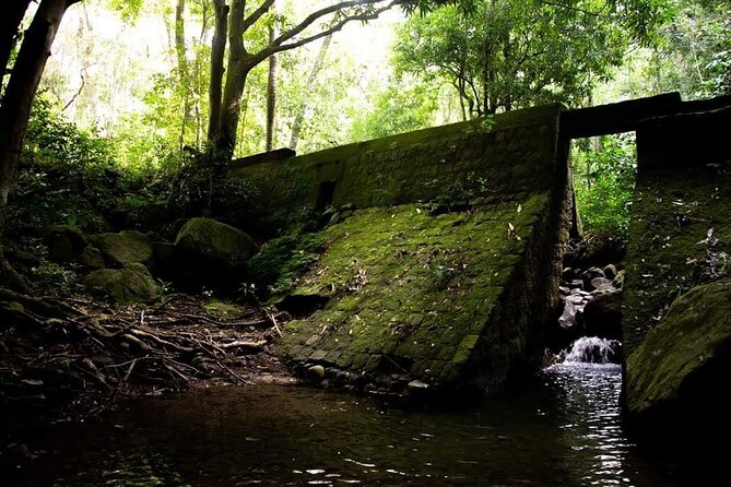 Tropical Rain Forest Explorer Hike In St. Kitts - Refreshments that make the half-day easier
