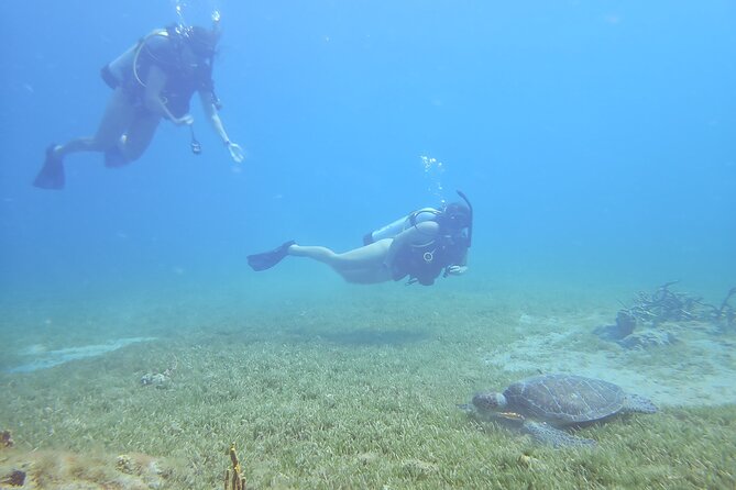 VIP Private Guided Scuba Diving/Snorkeling Excursion - Choosing snorkeling, swimming, or quiet time aboard