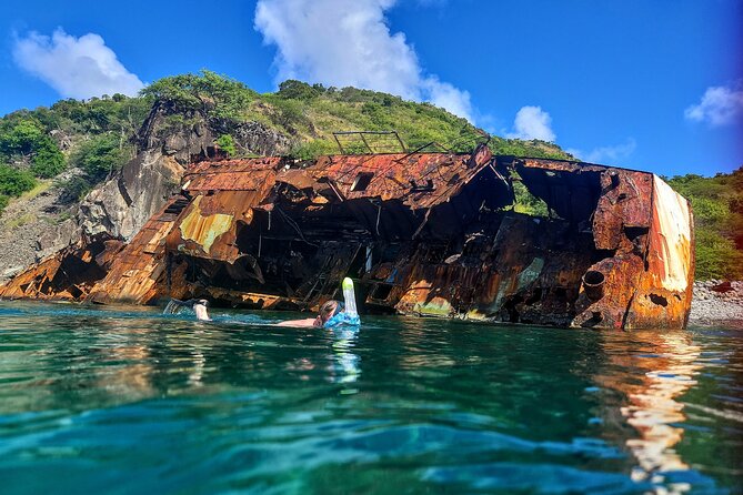 VIP Private Guided Scuba Diving/Snorkeling Excursion - A good setup for mixed groups