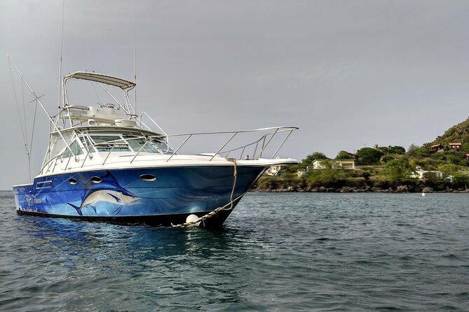 VIP Private Guided Scuba Diving/Snorkeling Excursion - What the price really includes