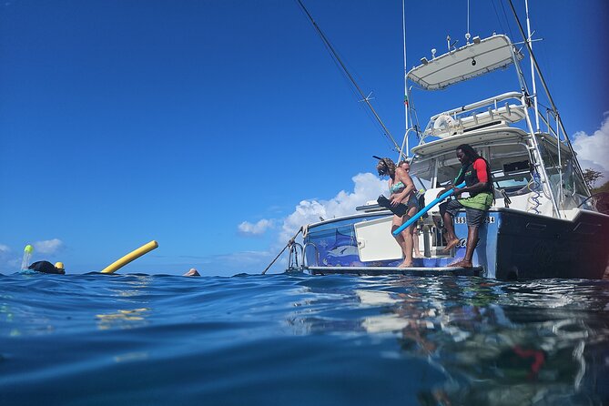 VIP Private Guided Scuba Diving/Snorkeling Excursion - Weather, cancellations, and who should book