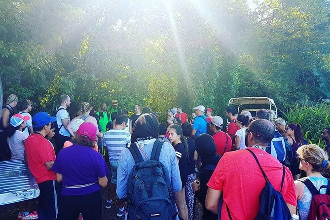Volcano Caldera (Mt. Liamuiga) Trek / Hike - Mt. Liamuiga Turns a St. Kitts Day Into a Real Hike