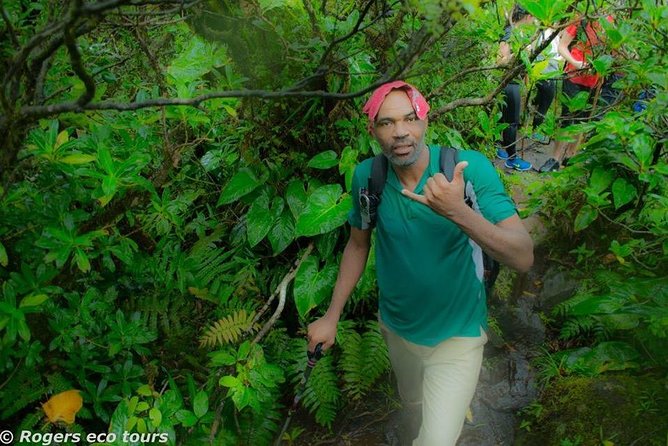 Volcano Caldera (Mt. Liamuiga) Trek / Hike - The $90 Price Depends on How You Use the Day