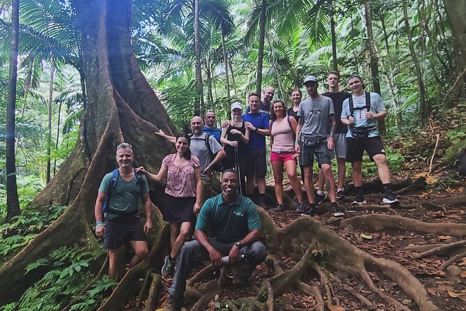Volcano Caldera (Mt. Liamuiga) Trek / Hike - What to Bring and What to Confirm
