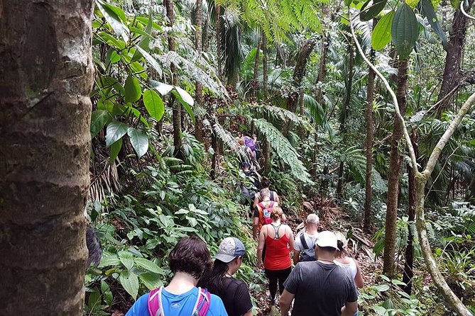 Volcano Crater Hiking Tour in St Kitts - Rain, mud, and the importance of a weather check